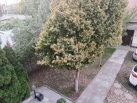 Budapest XVII. kerület Családi ház