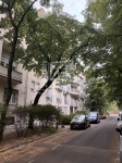 Budapest XIV. kerület Lakás (téglaépítésű)