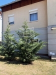 Dunakeszi Lakás (téglaépítésű)