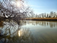 Dunaharaszti Családi ház