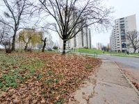 Miskolc Lakás (panel)