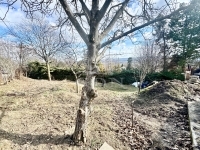 Szentendre Családi ház