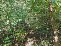 Isaszeg Telek