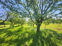 Zalaegerszeg Családi ház