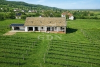 Szekszárd Családi ház