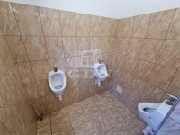 Székesfehérvár Vendéglátás