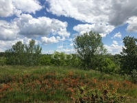 Budapest XVI. kerület Családi ház