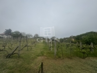 Mohács Családi ház