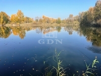 Dunaharaszti Családi ház