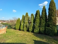 Kistarcsa Családi ház