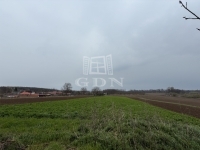 Semjénháza Családi ház